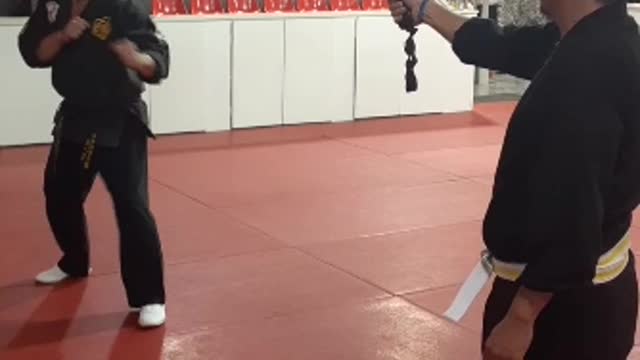 Jump Spinning Heel Kick