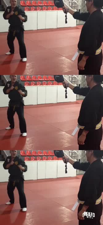 Jump Spinning Heel Kick