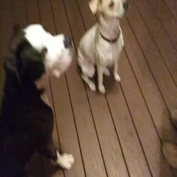 The Boys Before They Became The Lads