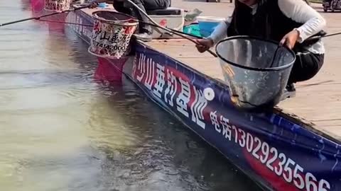 New Primitve Technology Fish Trap