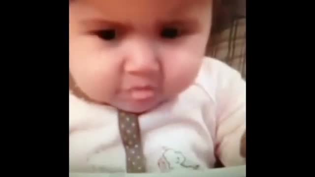 Funny Compilation [HD] - Funny Vines Compilation HD