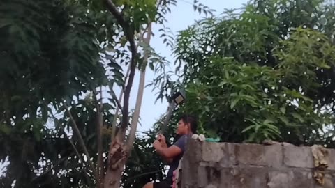 Tanam Pohon Kecil Walaupun Hanya Dua Buah | Menghijaukan dan Menyejukkan Alam Sekitar