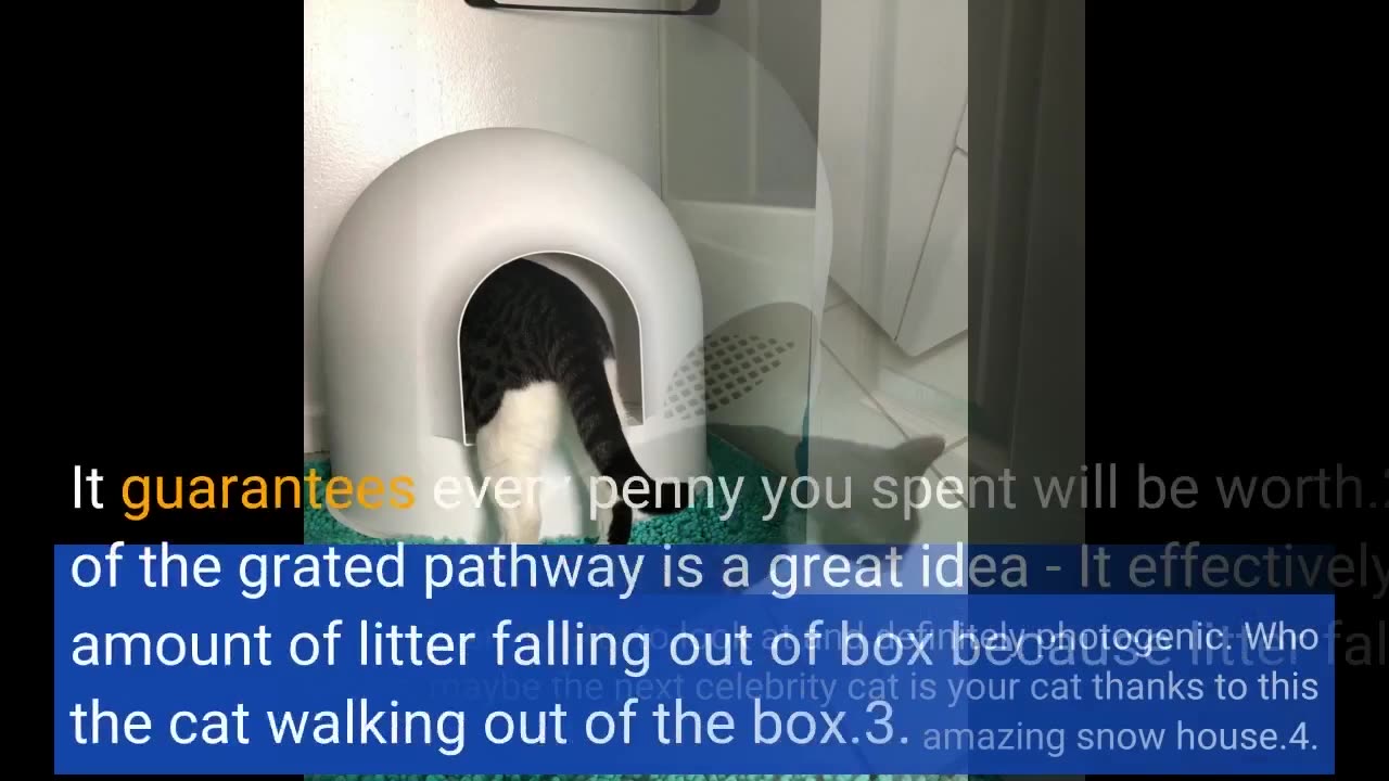 pidan Igloo #Cat #Litter Box Enclosure with lid-Overview