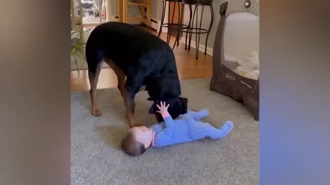 Top 10 cute baby funny video