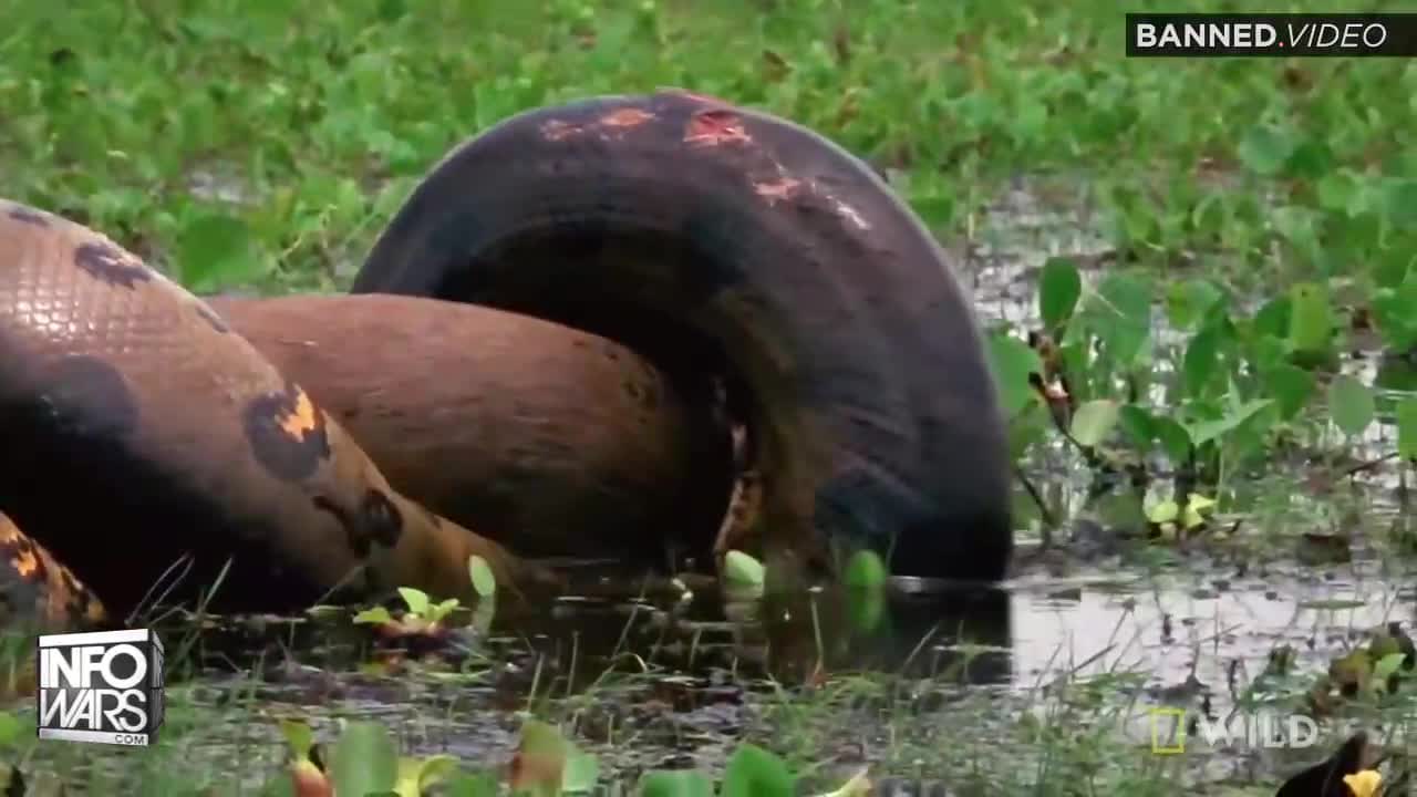 Learn About the Pressure-Release Strategy