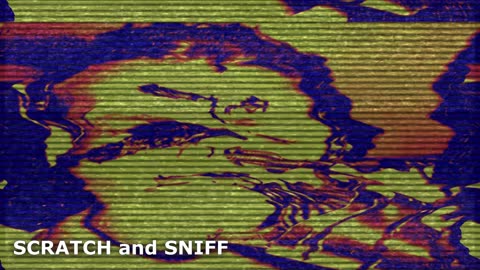 SCRATCH AND SNIFF TELEVISION