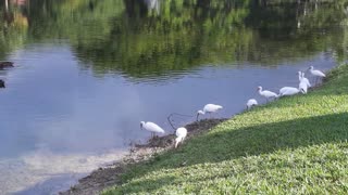 Nature vs. Synthetic Reality? A mom asks questions.