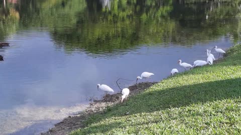 Nature vs. Synthetic Reality? A mom asks questions.