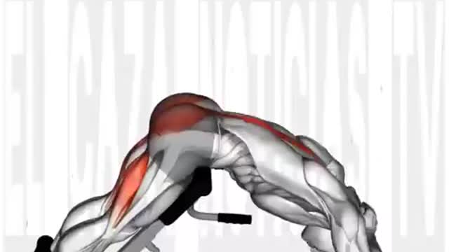 Best Leg Workout Exercises At Gym