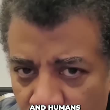 The Connection Between Chimpanzees and Humans: Explained