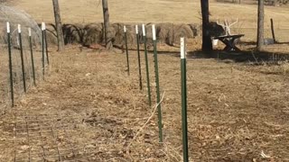 2022 Garden into and plan