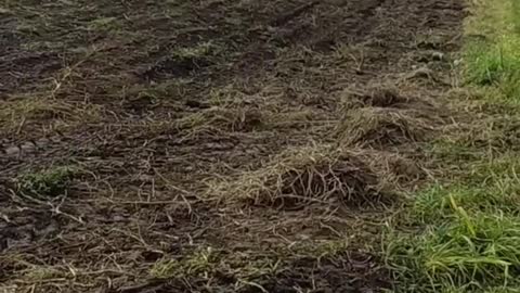 ⚠️ Wir atmen es alle ein und wollen nun wissen, was es ist! 🧐