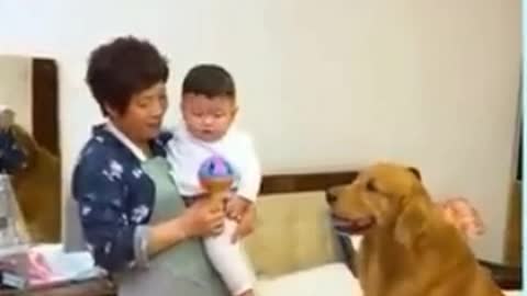 You will laugh at all the DOGS 🤣 Funny DOG Videos 😂🐶Part4
