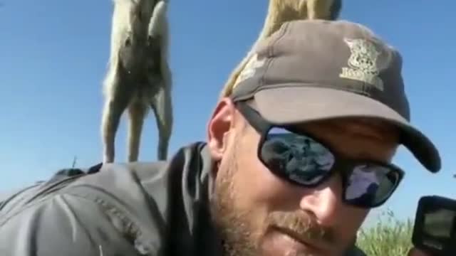 When Things Don't Go To Plan Being A Wildlife Photographer
