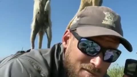 When Things Don't Go To Plan Being A Wildlife Photographer