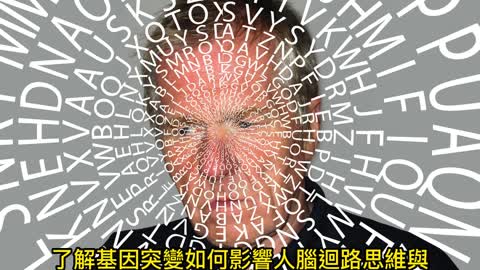 解密腦病變之謎 類人腦組織成功植入鼠腦