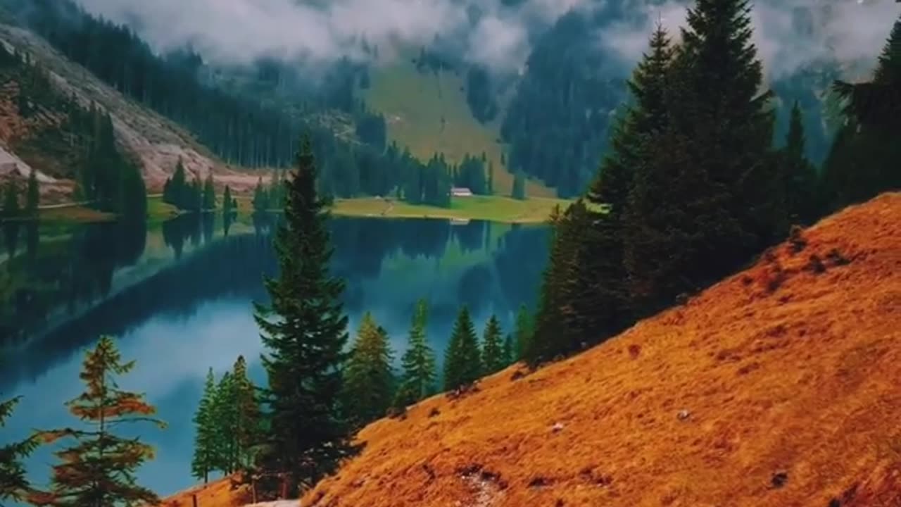 Would you walk this path all by yourself (The beautiful Switzerland) 🤩🍁