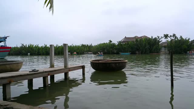 Peaceful Lake Sounds in Vietnam /Frogs, Crickets, Owls, Nature Sounds for Sleeping & Focus 10 HOURS