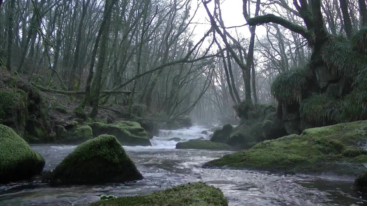 Ghost caught on camera in daylight on a Scottish river.