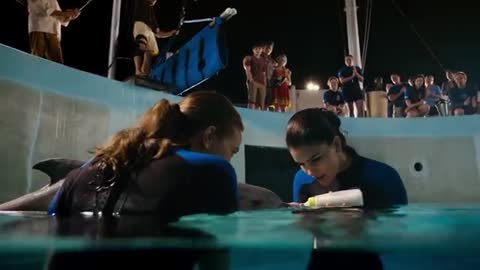 Dolphin Tale 2 - Official Teaser Trailer [HD]_Cut