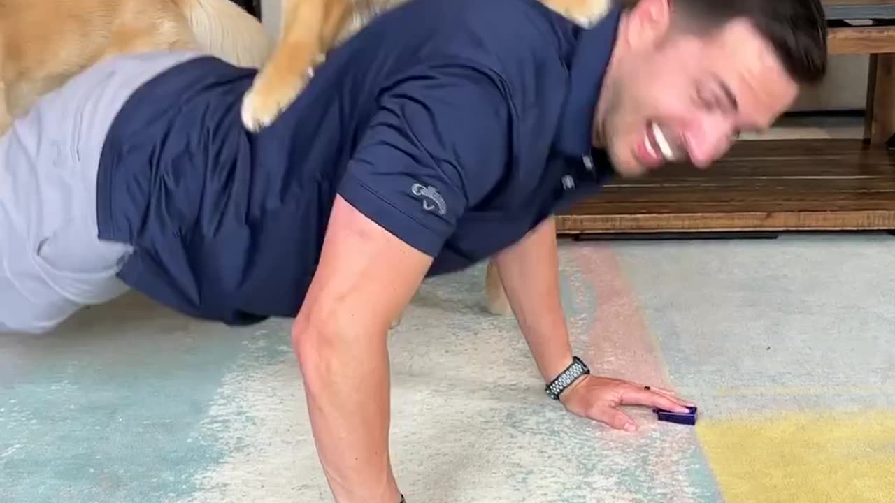 How to train your dog 🐕