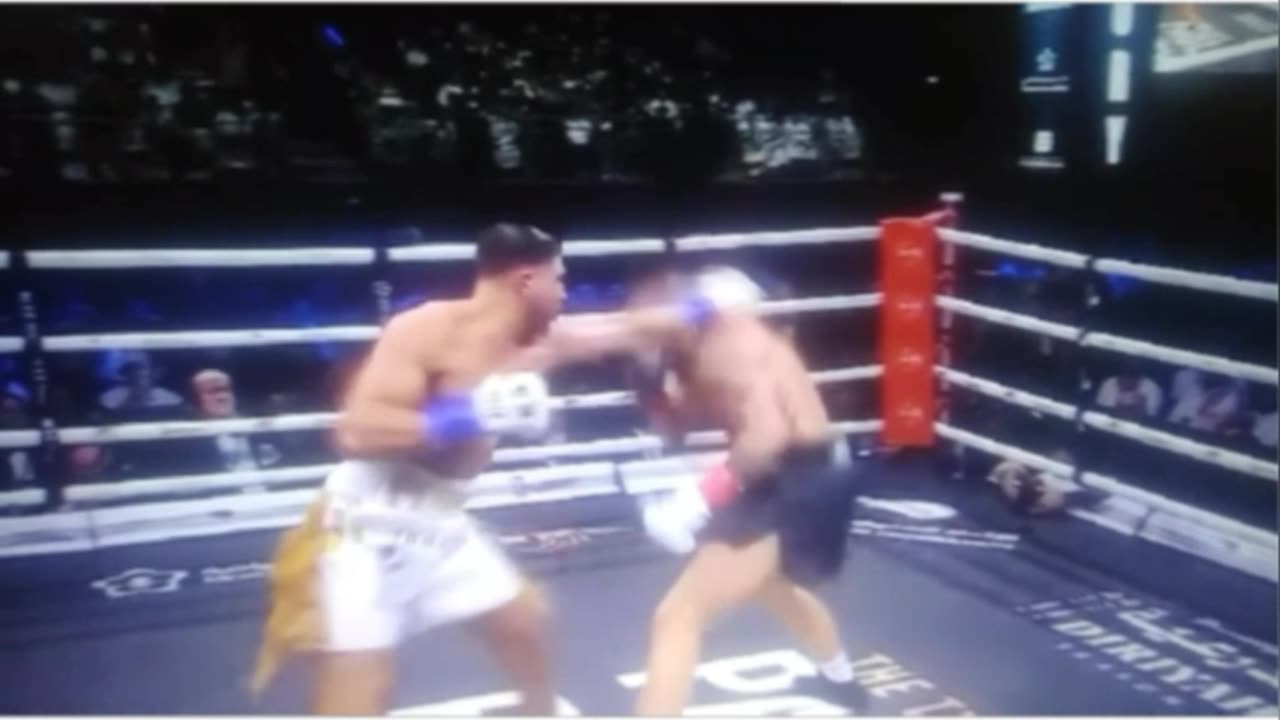 (🇺🇸.pall vs furry.🇬🇧) (ポール vs ファーリー)