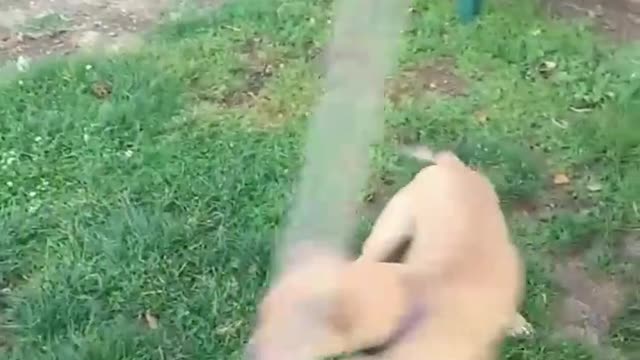 Wow, very cute and funny