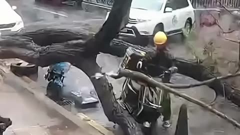 VIDEOFUNNY