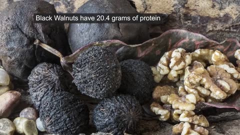 Affordable High Protein Alternatives
