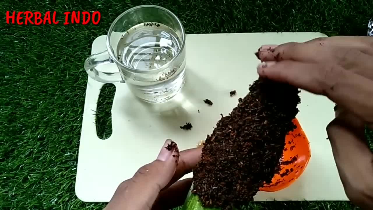WOW ! NAMBAH 12 CM HANYA SEKALI OLES, RAHASIA BESAR DAN PANJANG