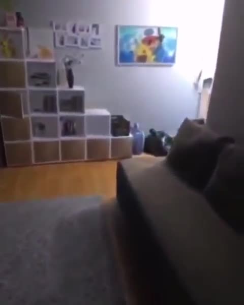 Шаровая молния залетела в дом (2021)