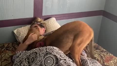 When your puppy’s only 7 months old but weighs 70 pounds, it’s quite the wake up call