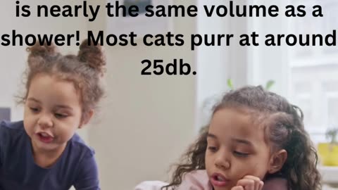 facts about cats.....8/13