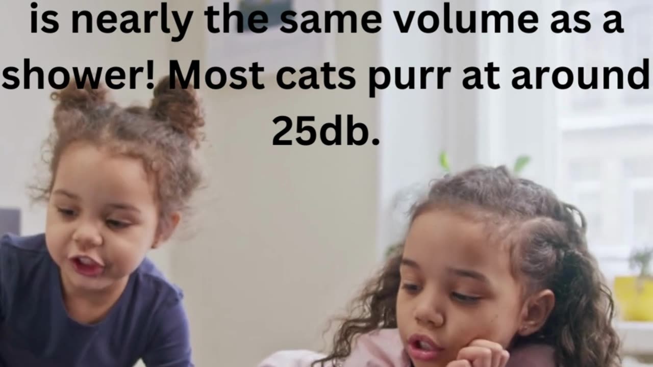 facts about cats.....8/13