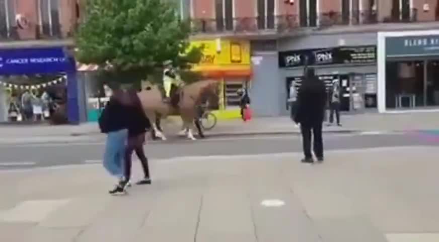 Animals Can Sense Evil