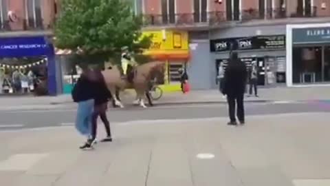 Animals Can Sense Evil