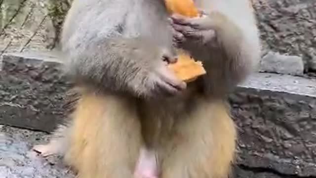 Greedy