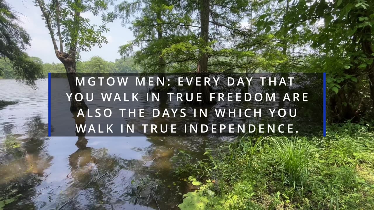 "Happy Independence Day...." MGTOW/MGTOWTRUTHS