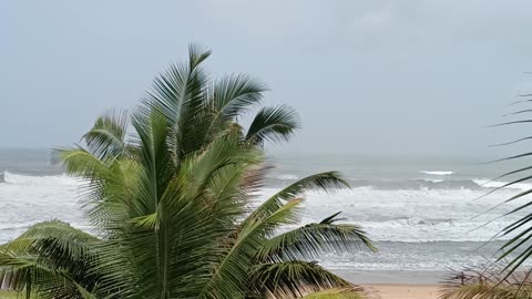 Sea shore Goa