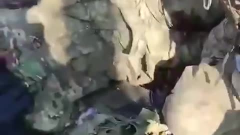 Searching Russians