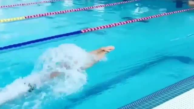 Sports funny video #17
