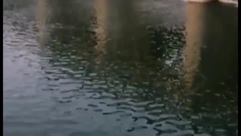 Awesome dam view