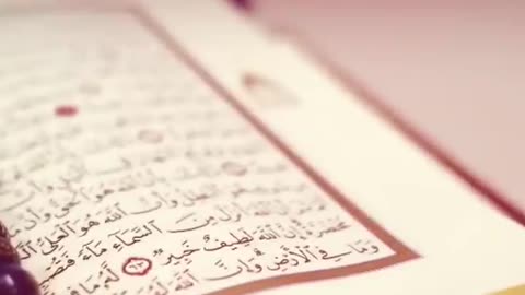 PERSONAL JOURNEY TO ISLAM