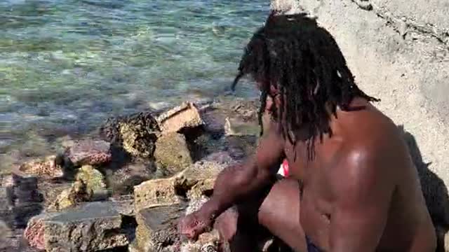 🇩🇲 Sea Urchin Bowl in Dominica Caribbean Island