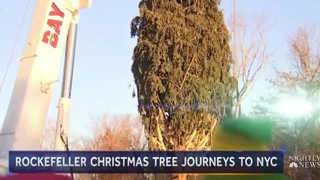 ROCKEFELLER CHRISTMAS TREE JOURNEYS TO NYC