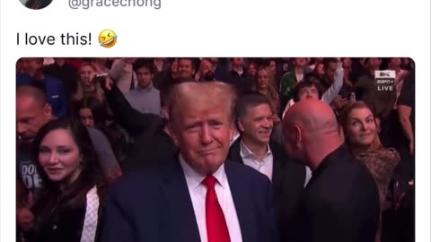 UFC Fight - Trump, "Thank You"