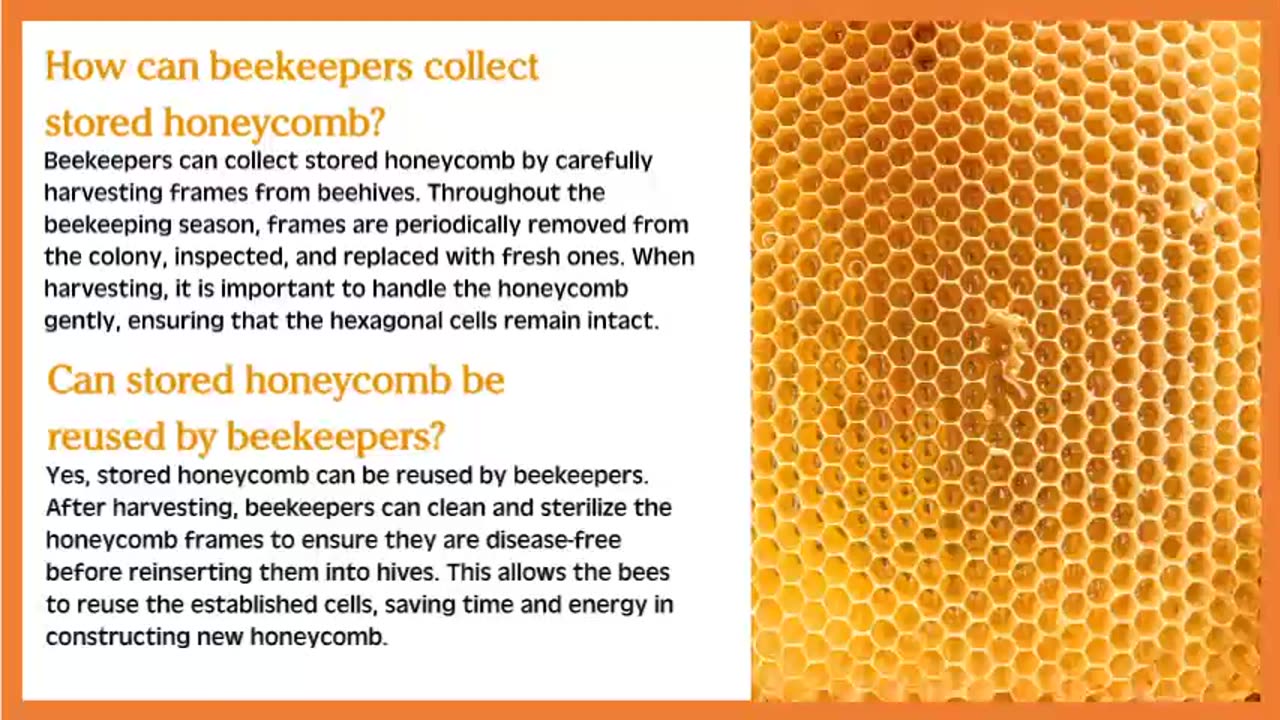 Unlocking the Sweet Potential: Exploring the Versatile Uses for Stored Honeycomb