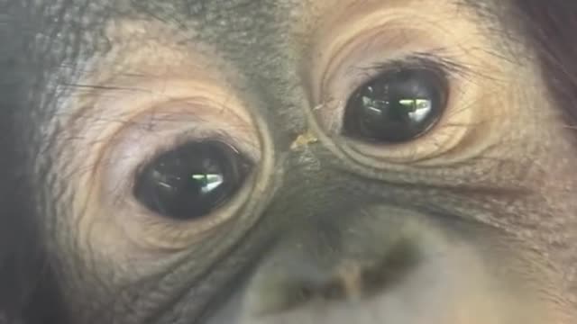 Could you give me a cute name