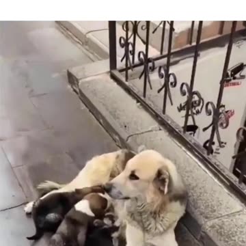 Shoutout To Everyone Who Does This