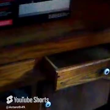 How just how! #youtubecatshorts